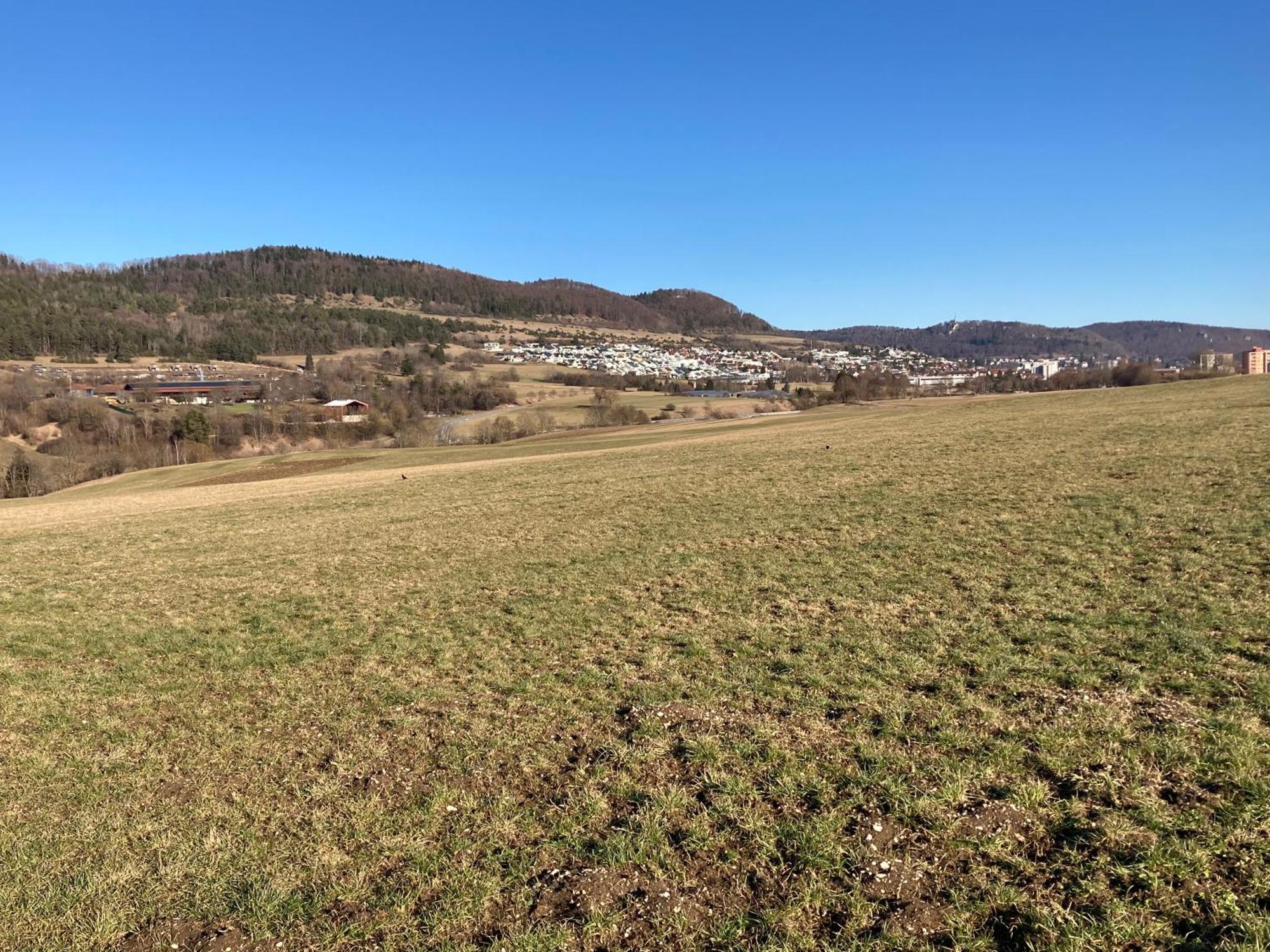 Atemberaubender Ausblick Mit Premium-Wanderwegen Vor Der Haustuer Apartment Албщат Екстериор снимка