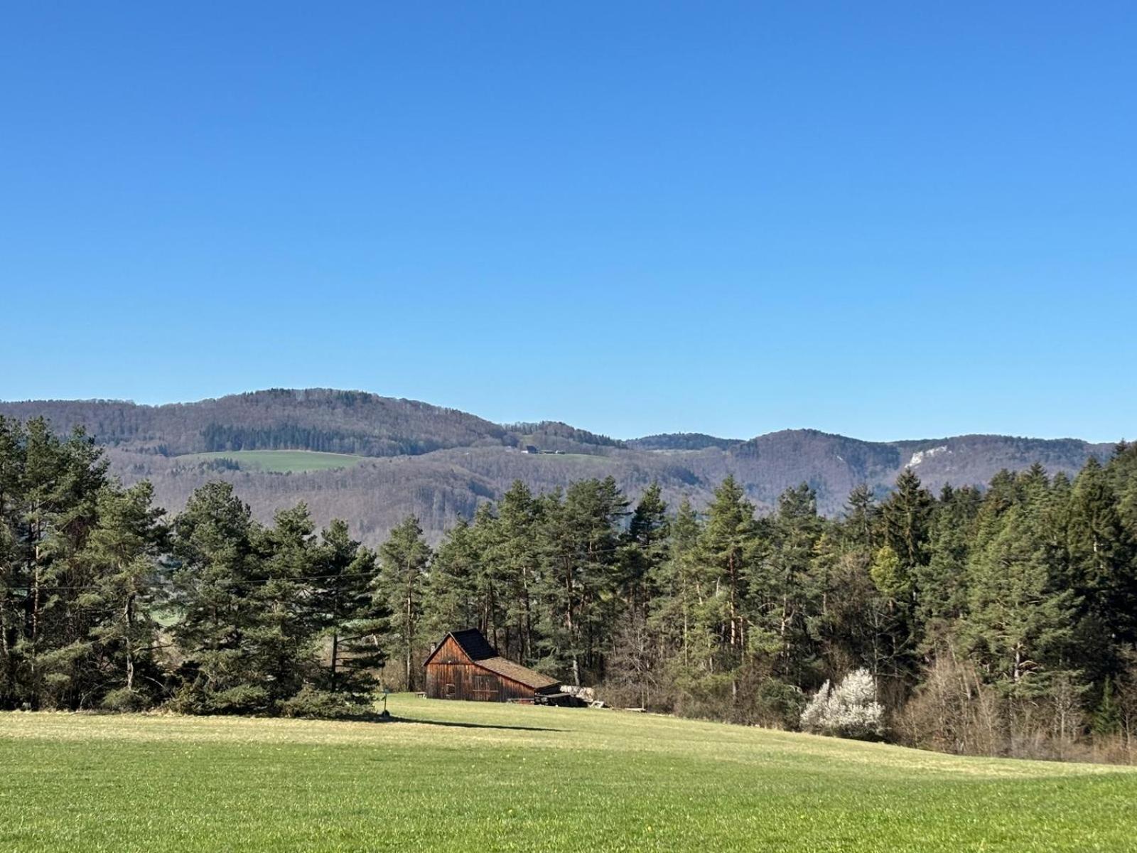 Atemberaubender Ausblick Mit Premium-Wanderwegen Vor Der Haustuer Apartment Албщат Екстериор снимка
